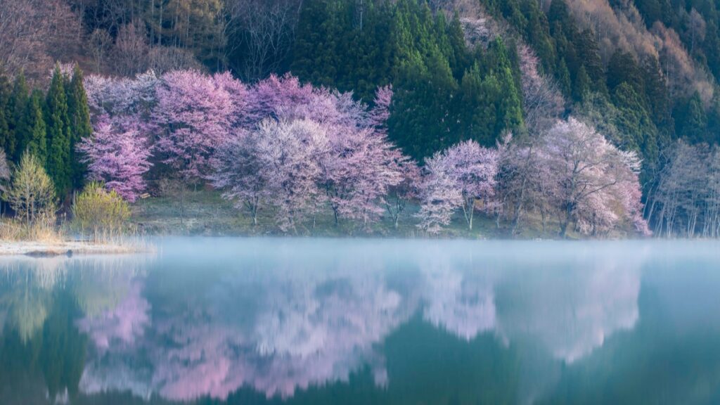 How Nigeria LinkedIn bloggers can collaborate with France advertisers in 2025