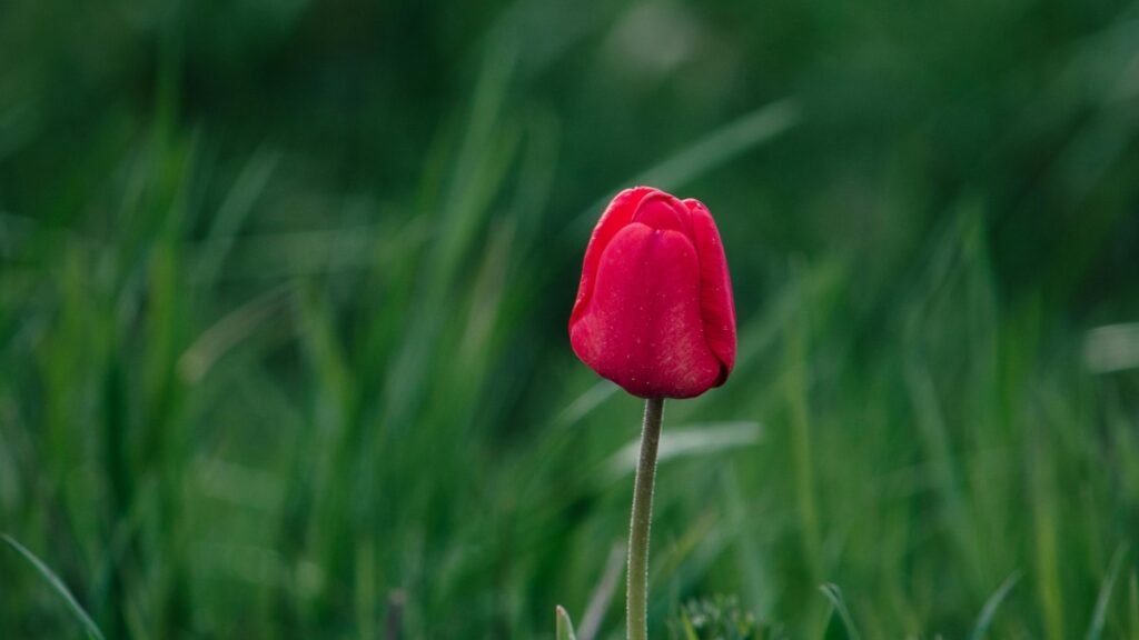 How Nigeria Twitter bloggers can collaborate with USA advertisers in 2025