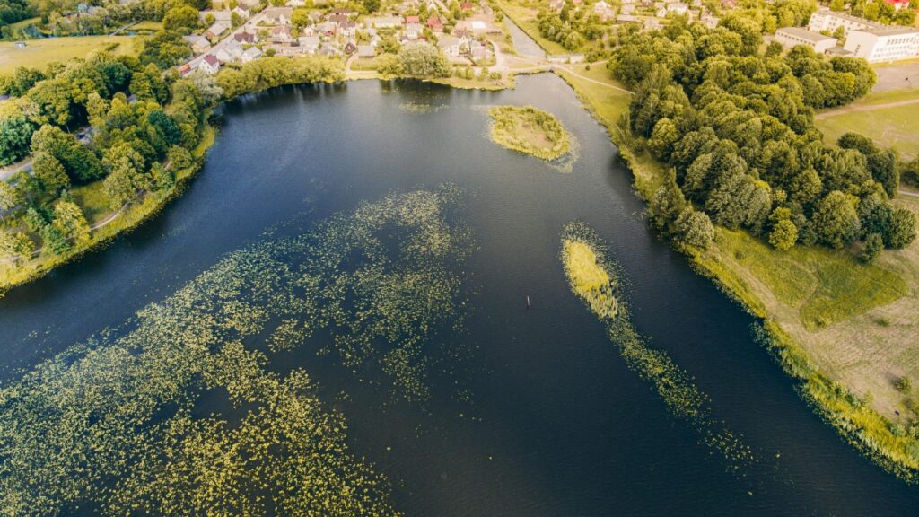 How Nigeria TikTok Bloggers Can Collaborate with Ghana Advertisers in 2025