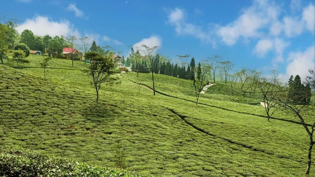 2025 China Pinterest AllCategory Advertising Rate Card for Nigeria