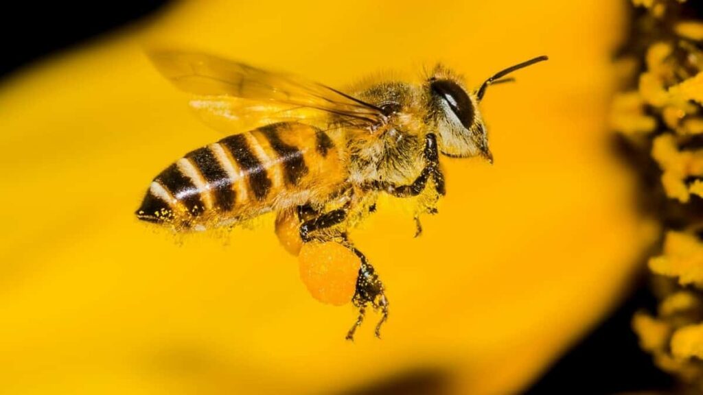 2025 Spain Instagram AllCategory Advertising Rate Card Don Nigeria