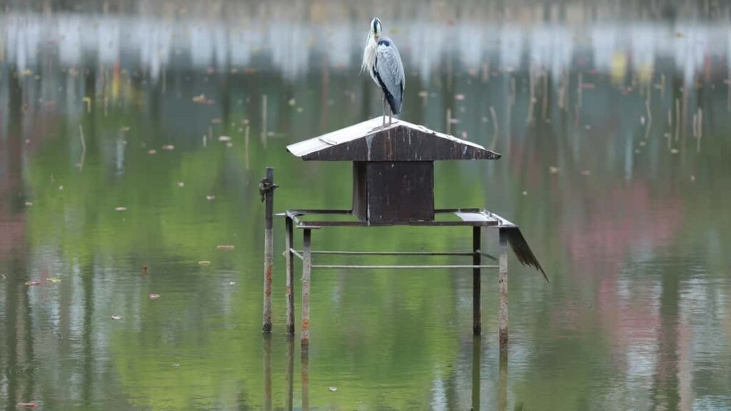 2025 United Arab Emirates YouTube AllCategory Advertising Rate Card don Nigeria kasuwa