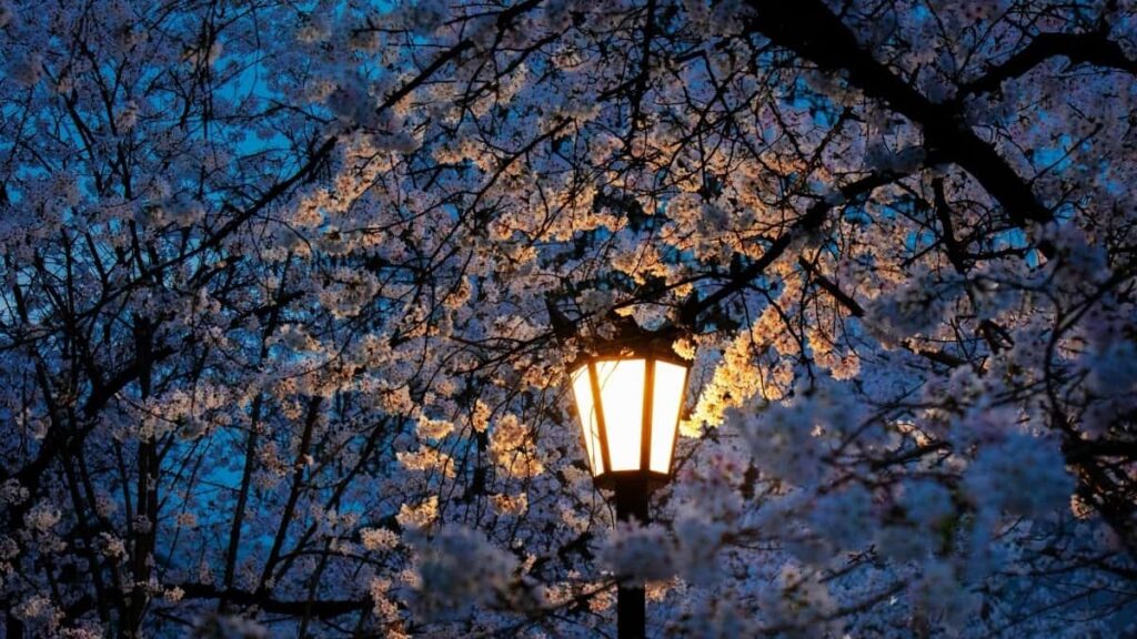 2025 Ivory Coast Snapchat AllCategory Advertising Rate Card Nigeria