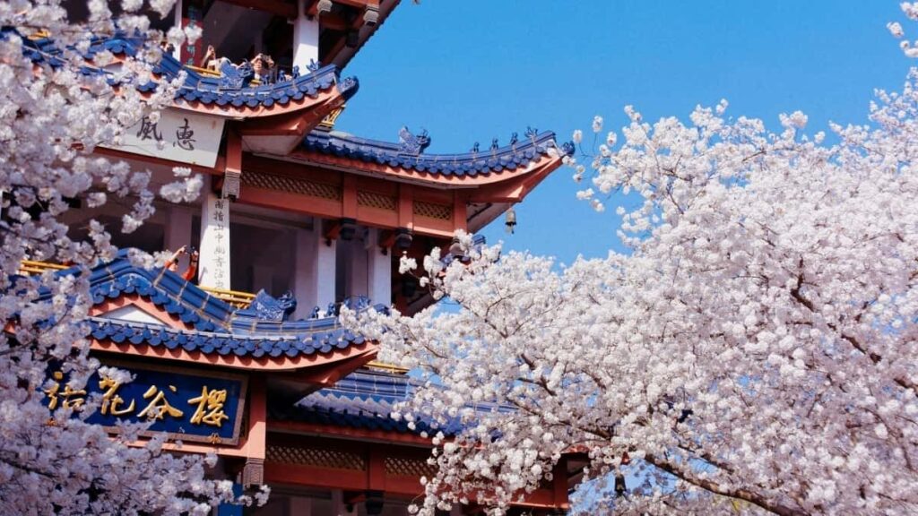 2025 Turkey Facebook AllCategory Advertising Rate Card don Nigeria