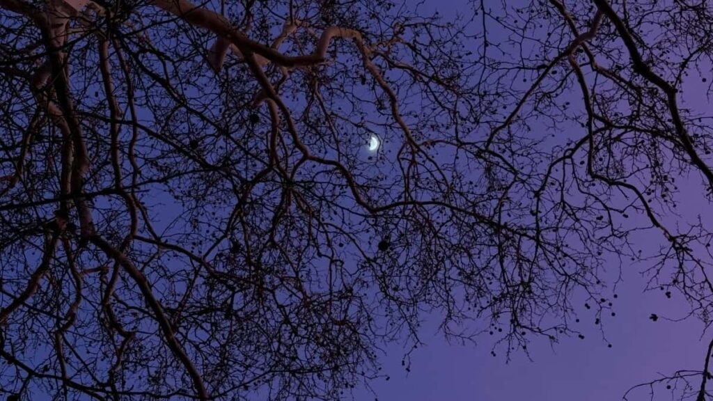 2025 Norway LinkedIn AllCategory Advertising Rate Card Nigeria