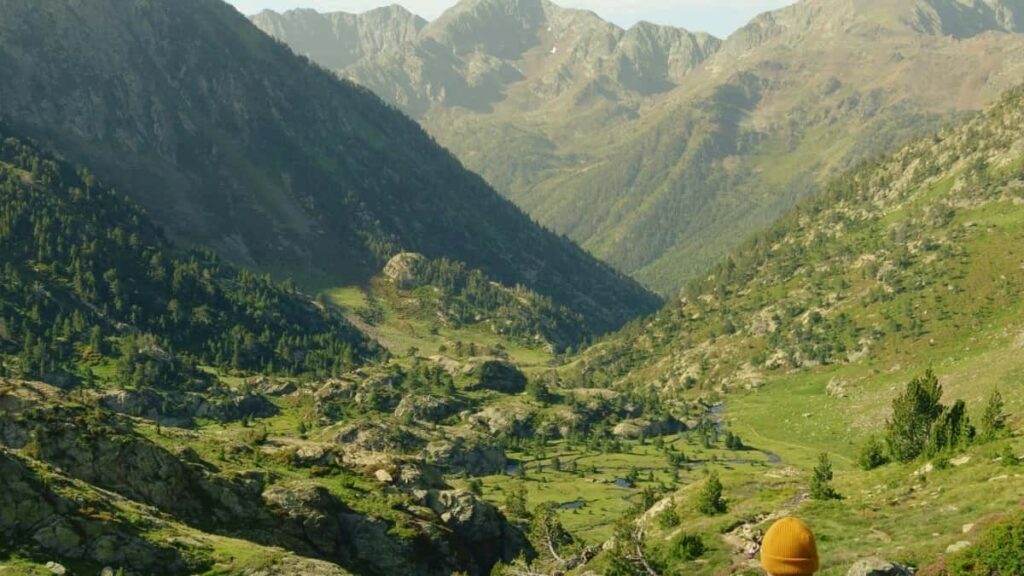 2025 Netherlands Pinterest Tallafin Talla Farashi Jagora