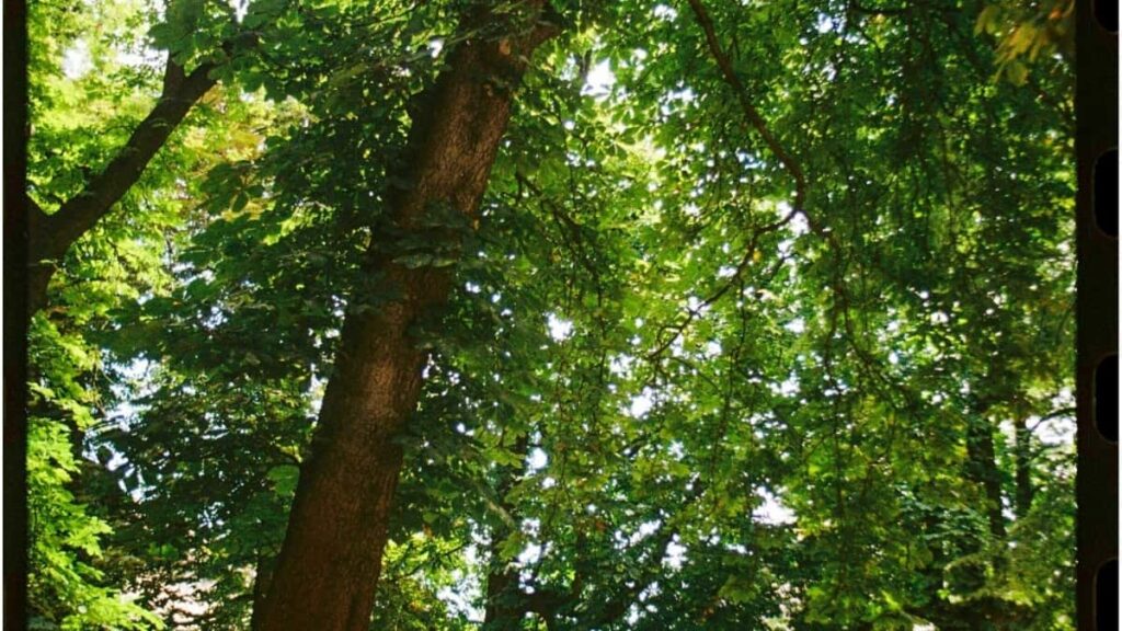 2025 Malaysia Telegram Dukkan Tallace Tallace Farashi Ga Nigeria