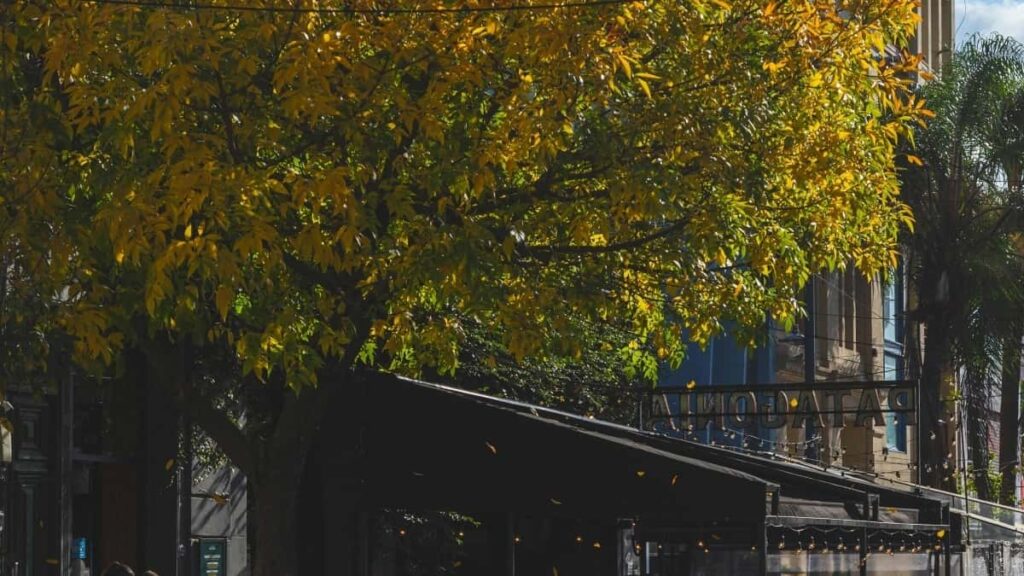 2025 Kenya Snapchat Tallafin Tallace Tallace Kudi Da Farashi