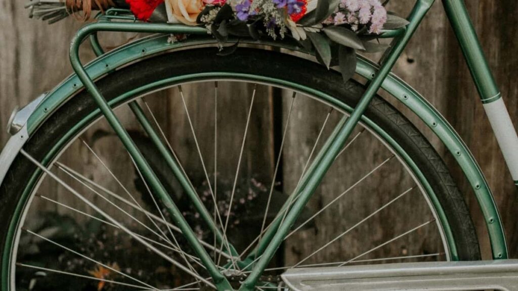 2025 South Korea Snapchat Advertising Rate Card Don Nigeria