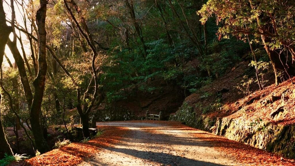 2025 South Korea Telegram Talla Kasuwa Farashi Nigeria