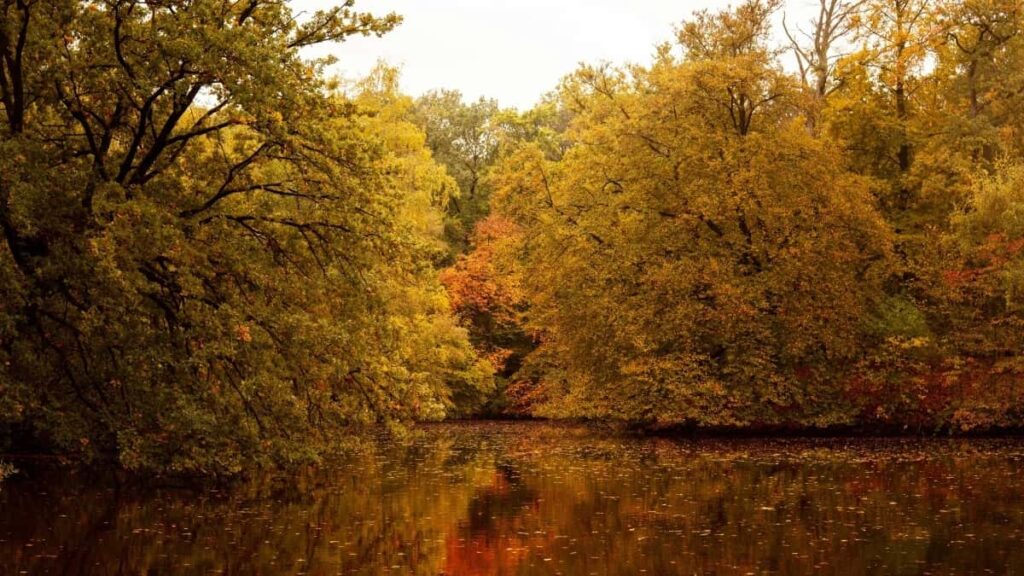 2025 Japan Telegram Talla Talla Da Farashin Tallace Tallace Ga Nigeria