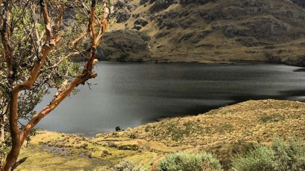 2025 Spain TikTok Dukkan Talla Iya Farashi Da Hanyar Kasuwanci