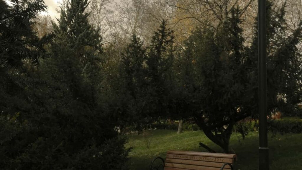 2025 United Arab Emirates LinkedIn Dukkan Tallace Tallace Farashi