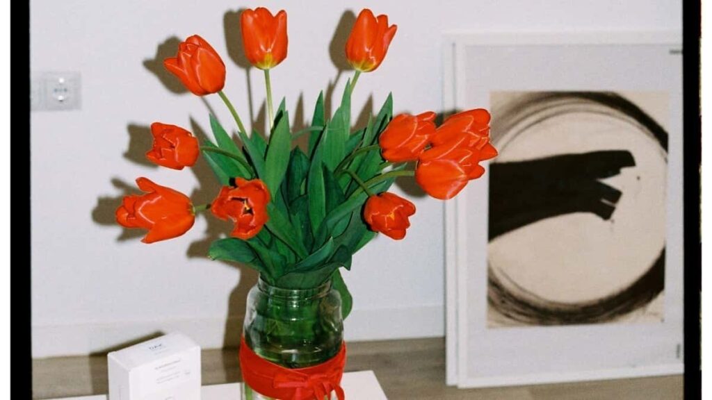 2025 Portugal LinkedIn Tallafin Tallace Tallace Farashin Nigeria