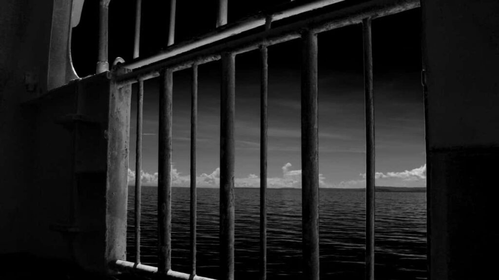 2025 Netherlands YouTube Tallafin Tallace Tallace Kudin Kasuwa