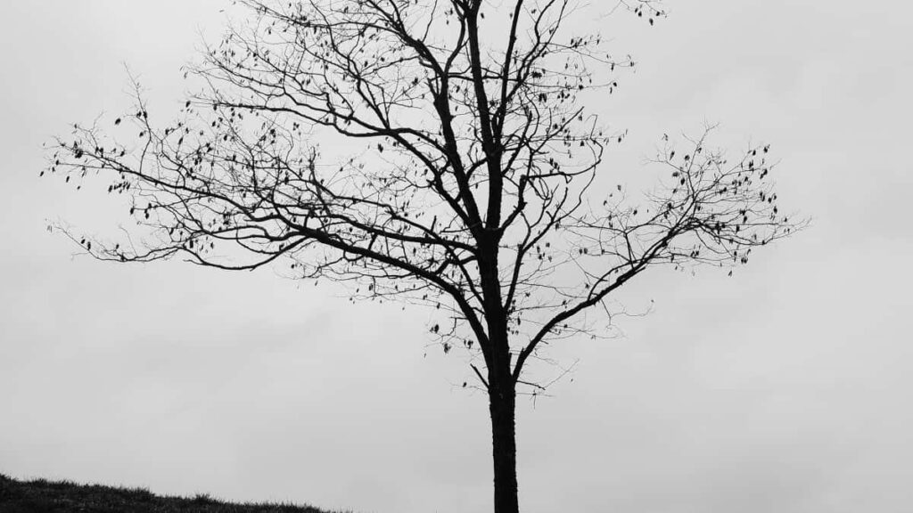 2025 United Arab Emirates Instagram AllCategory Advertising Rate Card ga Nigeria