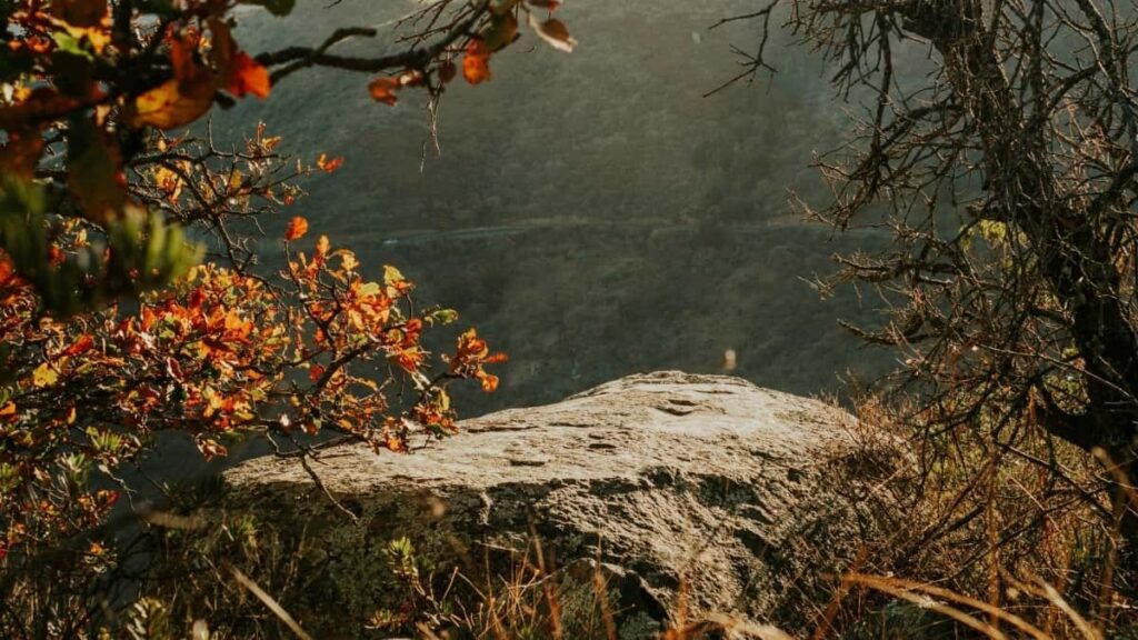 2025 Malaysia Instagram Advertising Farashin Jagora Don Nigeria