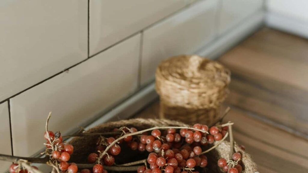 2025 Ivory Coast Twitter Tallafin Tallace Tallace Tsarin Farashi