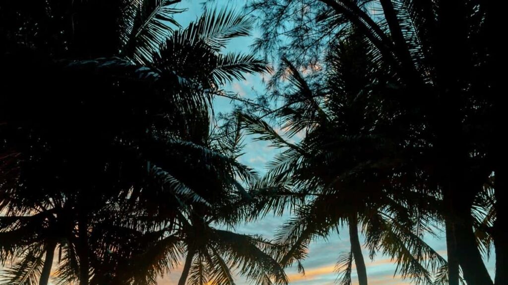 2025 Norway TikTok Tallafin Talla Farashi Ga Nigeria Kasuwa