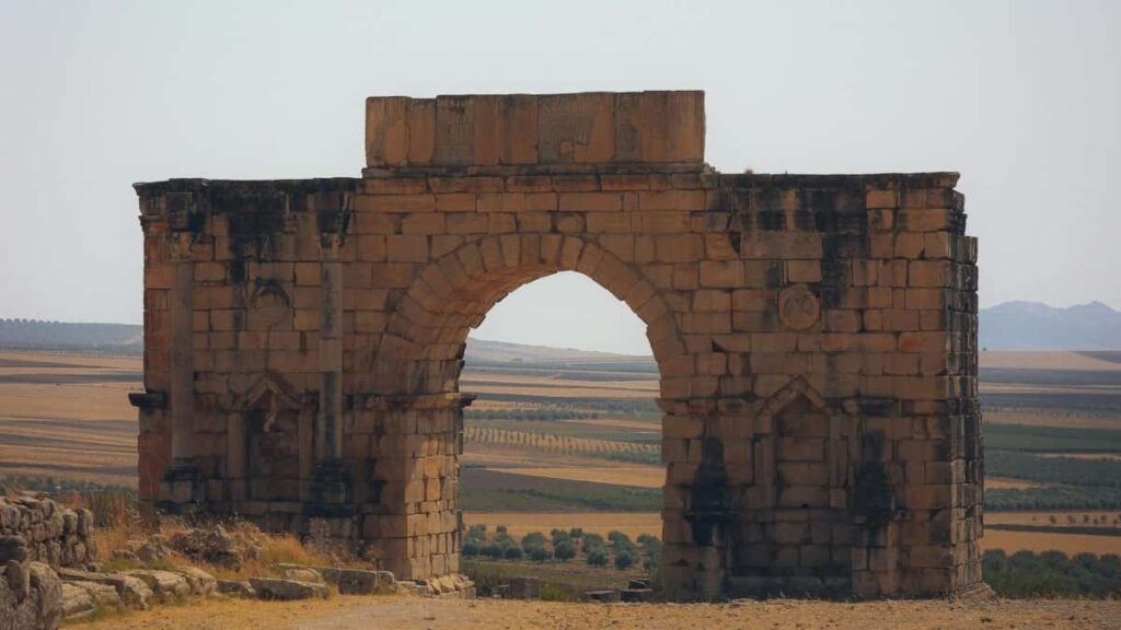 2025 Egypt Telegram Tallafin Tallan Farashi Don Kasuwar Nigeria