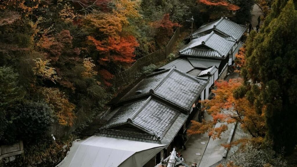 2025 United Arab Emirates Telegram Tallafin Talla Farashi Ga Nigeria