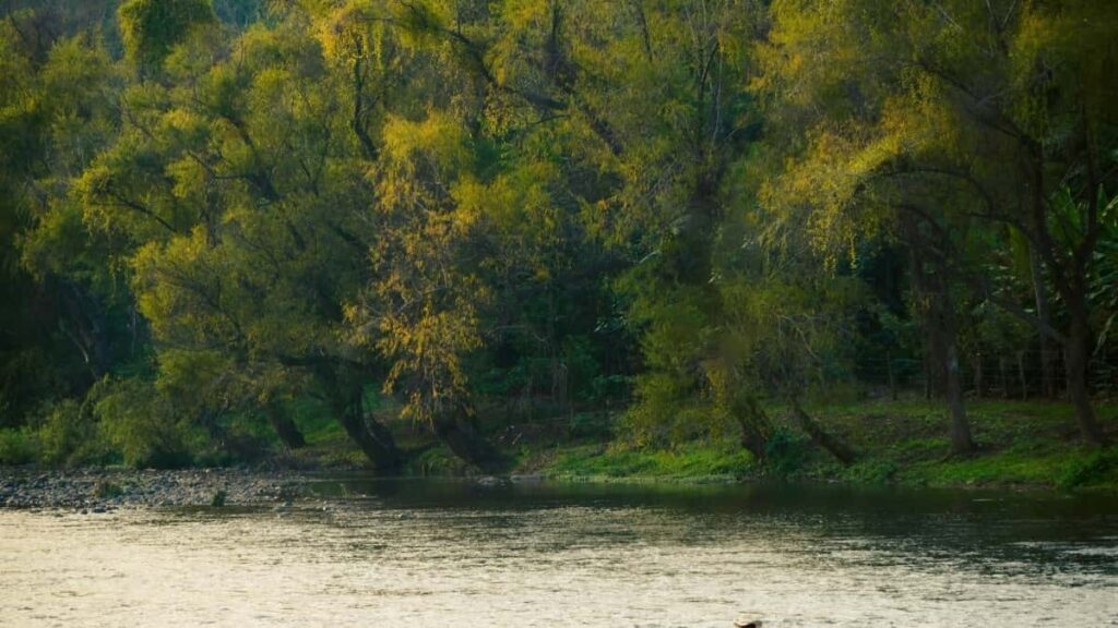 2025 Canada LinkedIn Talla Tallace Tallace a Nigeria Kasancewa