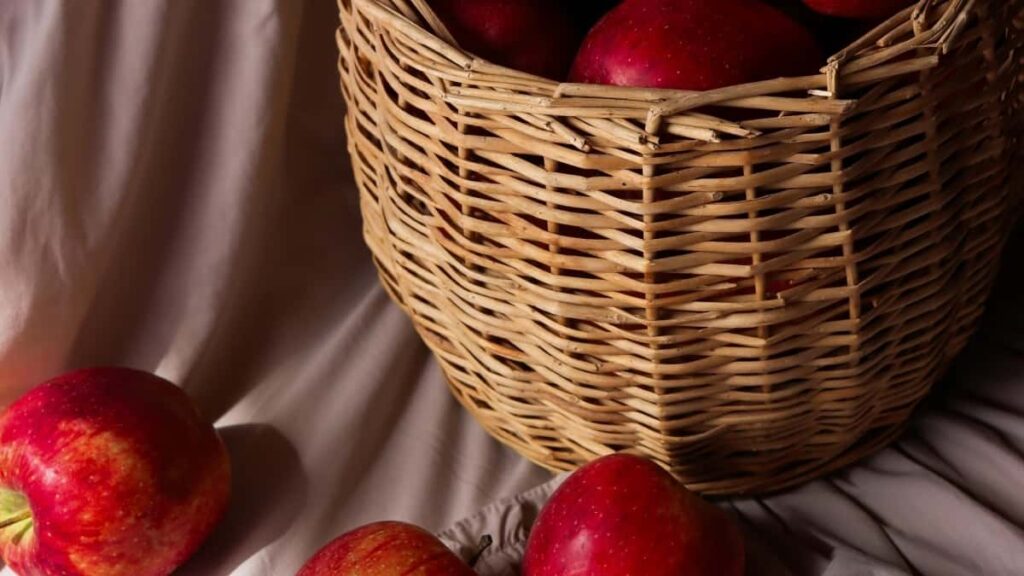 2025 India WhatsApp All Category Advertising Rate Card ga Nigeria Kasuwa