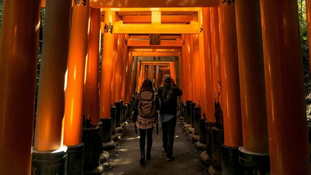 2025 Norway Twitter Tallafi Farashi Don Kasuwar Nigeria