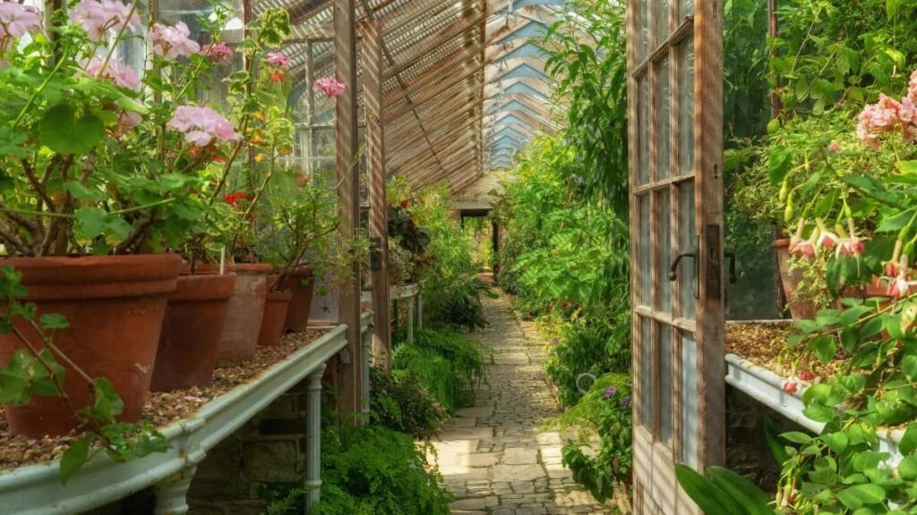 2025 Pinterest Tallafin Tallace Tallace Kasuwar Amurka