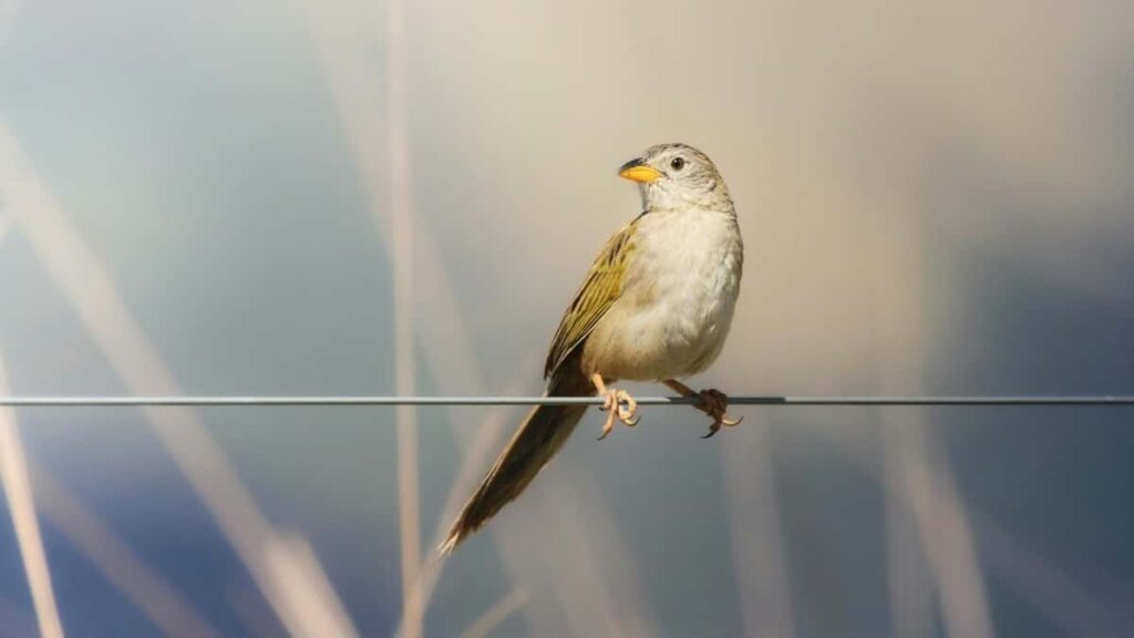 2025 Belgium Facebook All Category Advertising Rate Card ga Nigeria Kasuwanci