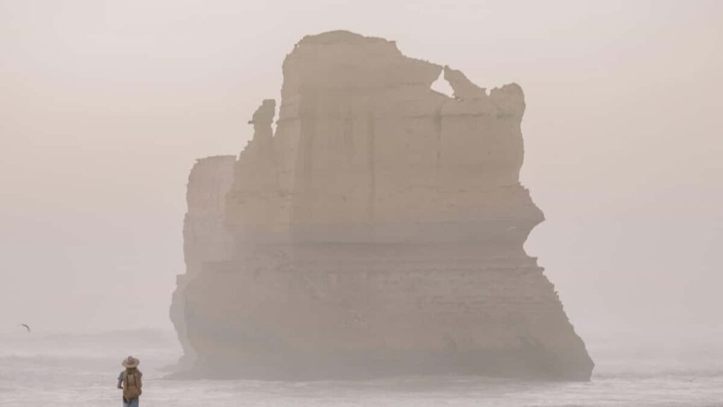 2025 United Arab Emirates Twitter AllCategory Advertising Rate Card Nigeria