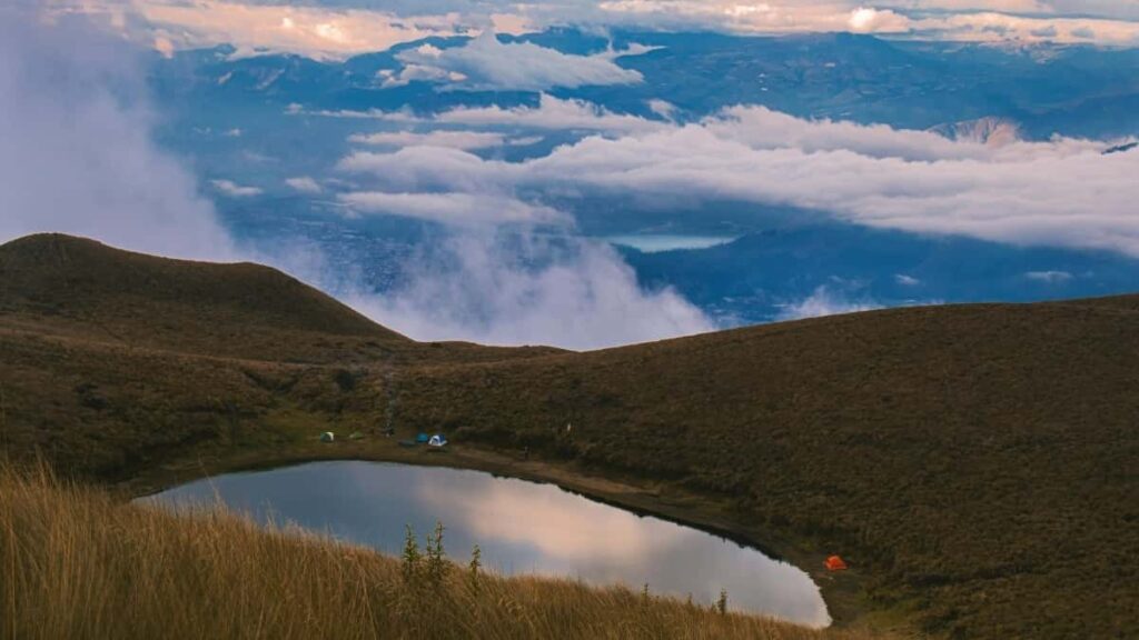 2025 United Kingdom Instagram Talla Dukkan Tallace Tallace Na Kowane Nauyi