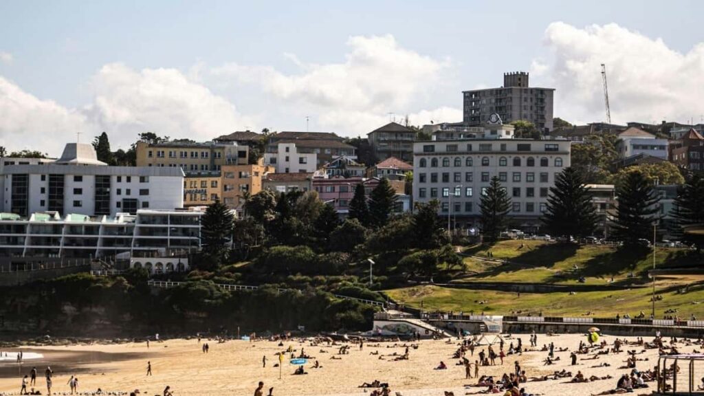 2025 Turkey Twitter Kasuwanci Farashi Jagora Don Nigeria Masu Talla