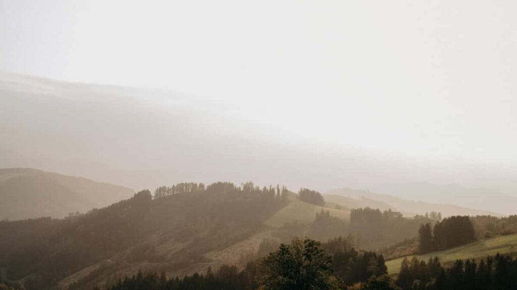 2025 Canada WhatsApp Tallafin Talla Farashi Don Yan Najeriya