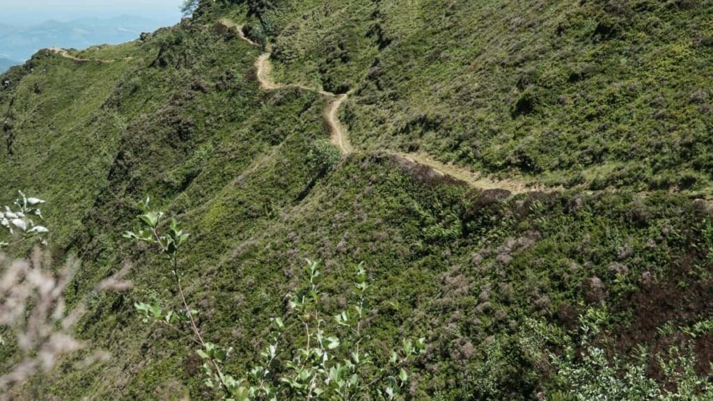 2025 Norway WhatsApp Tallafin Talla Da Farashin Dukkan Rukuni Ga Yan Nigeria