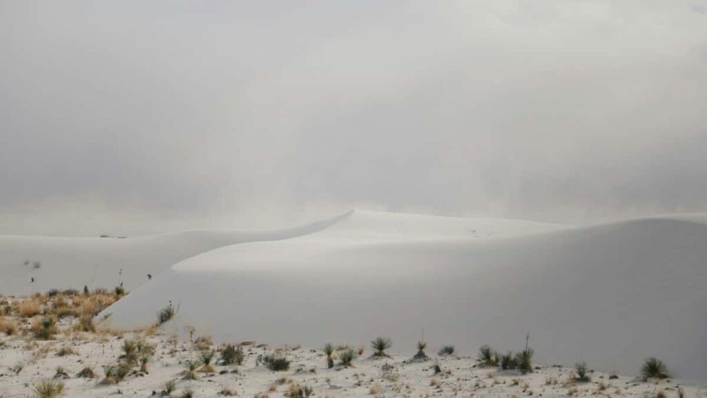 2025 India YouTube Tallafin Talla Farashi Ga Masu Kasuwa Na Nigeria