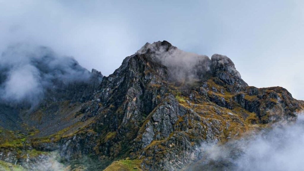 2025 Malaysia WhatsApp Tallafin Talla Farashi Domin Yan Kasuwa Na Nigeria