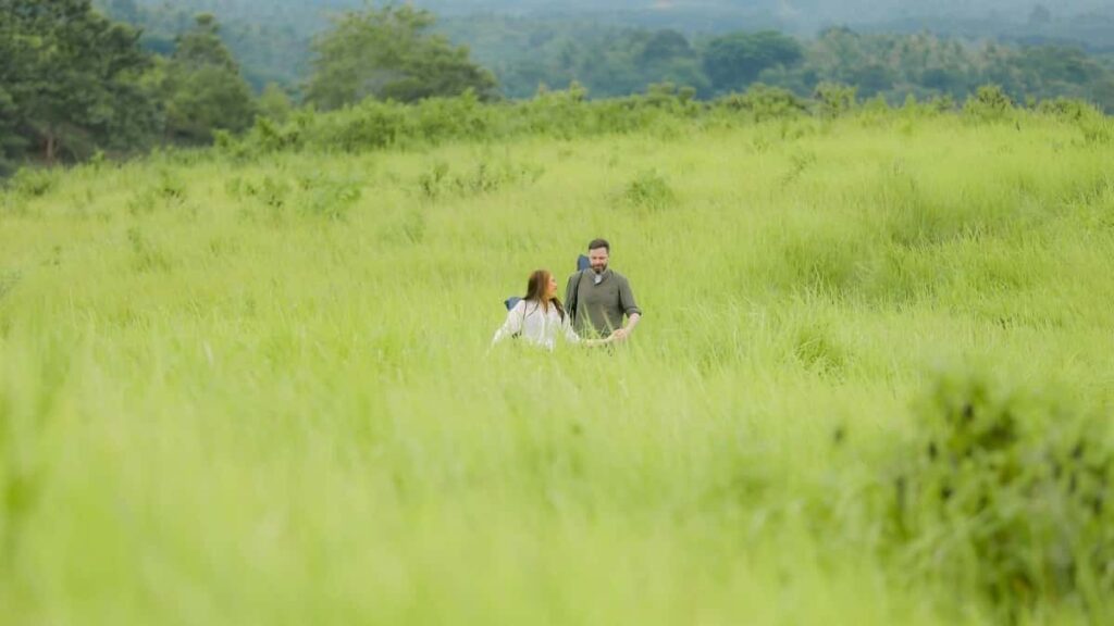 2025 United Kingdom WhatsApp Tallafin Talla Farashi Don Nigeria Kasuwa