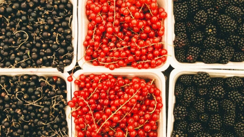 2025 United Kingdom Pinterest Tallafin Talla Farashi Don Kasuwar Nigeria