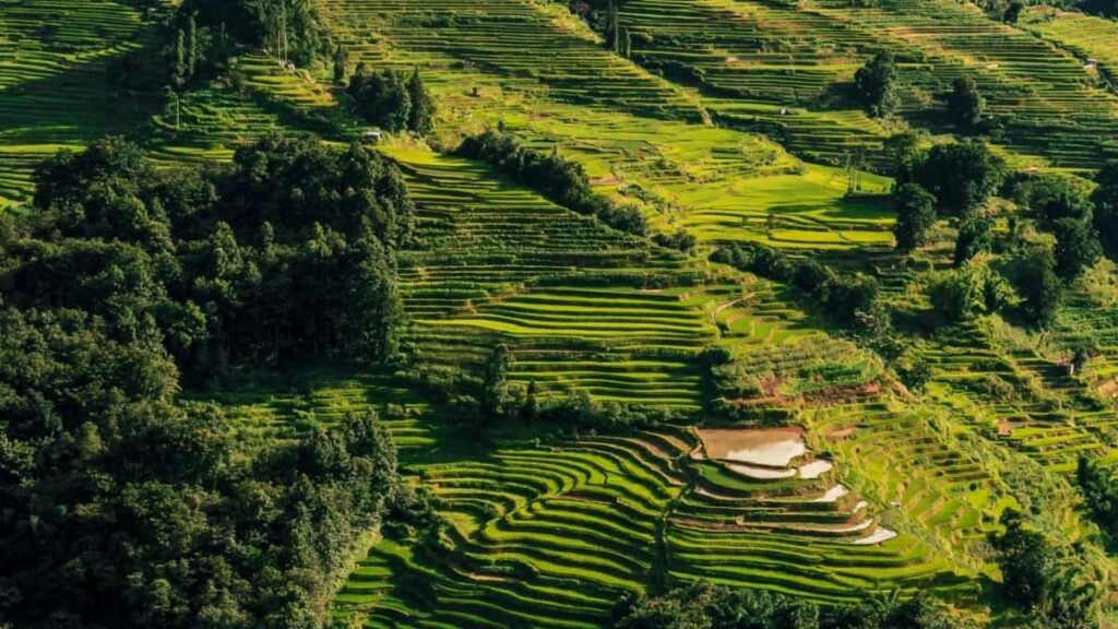 2025 United States Facebook AllCategory Advertising Rate Card ga Nigeria