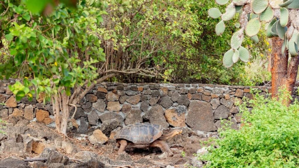 2025 Qatar WhatsApp Talla Tallace Tallan Farauta A Najeriya