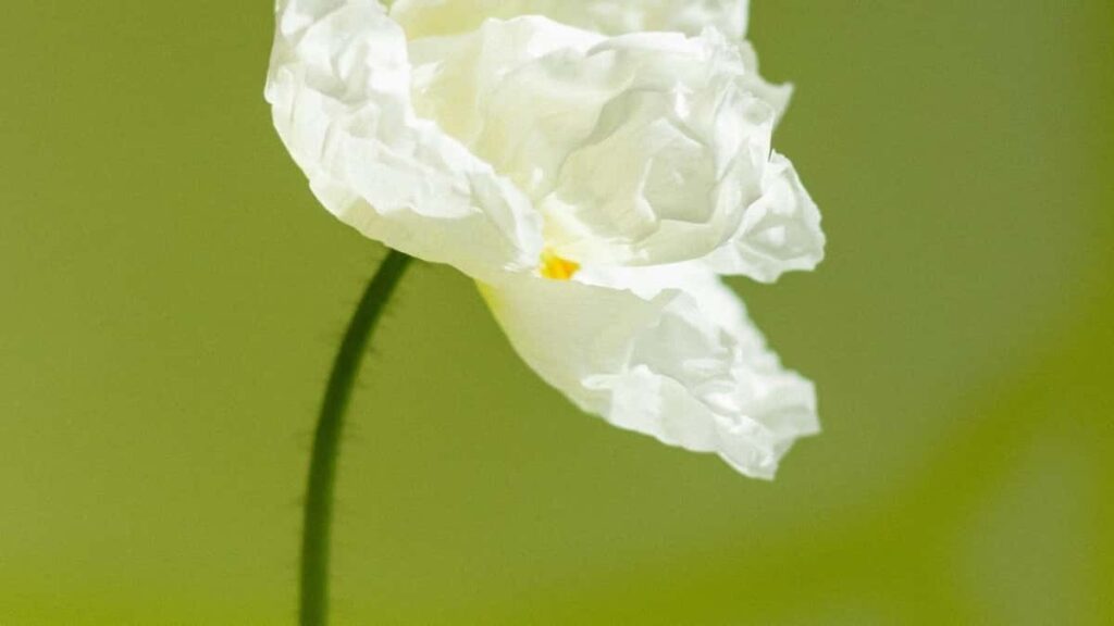 2025 Norway LinkedIn Talla Farashi Don Tallan Kasuwanci