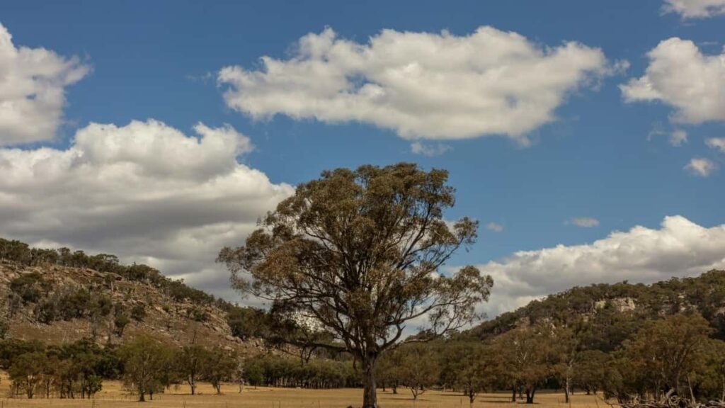 2025 Japan LinkedIn Tsarin Tallace Tallace Daga Nigeria