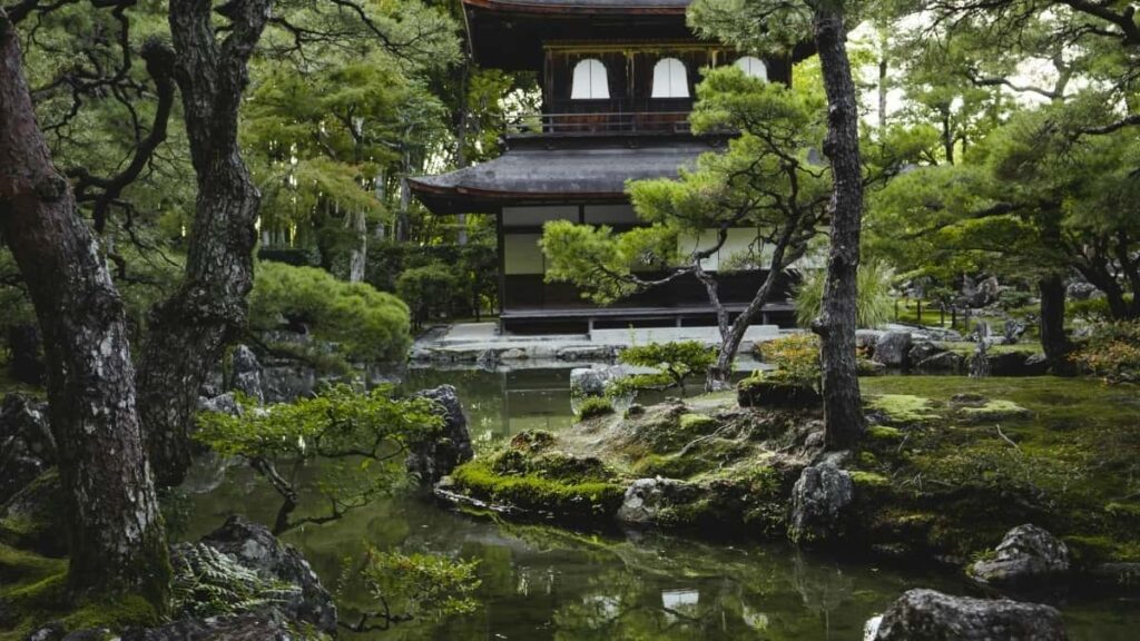 Jagora ga 'yan Nigeria kan yadda za su nemi dogon lokaci yarjejeniya tare da Vkontakte Malta a matsayin creator.