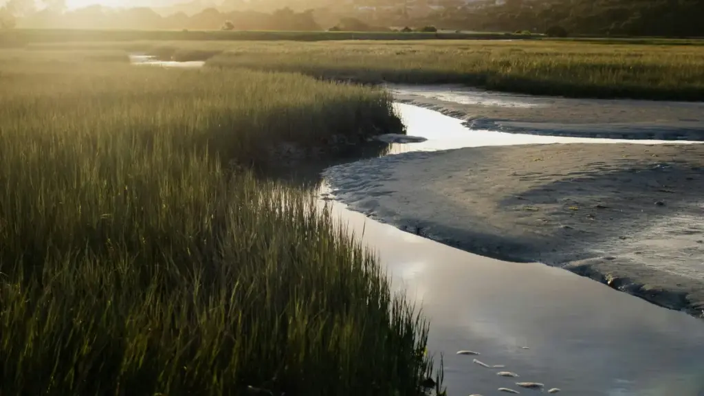Yadda masu tallata alamar kasuwanci a Lebanon ke amfani da Discord da yarjejeniyar retainer na wata-wata don bunkasa kasuwancinsu.