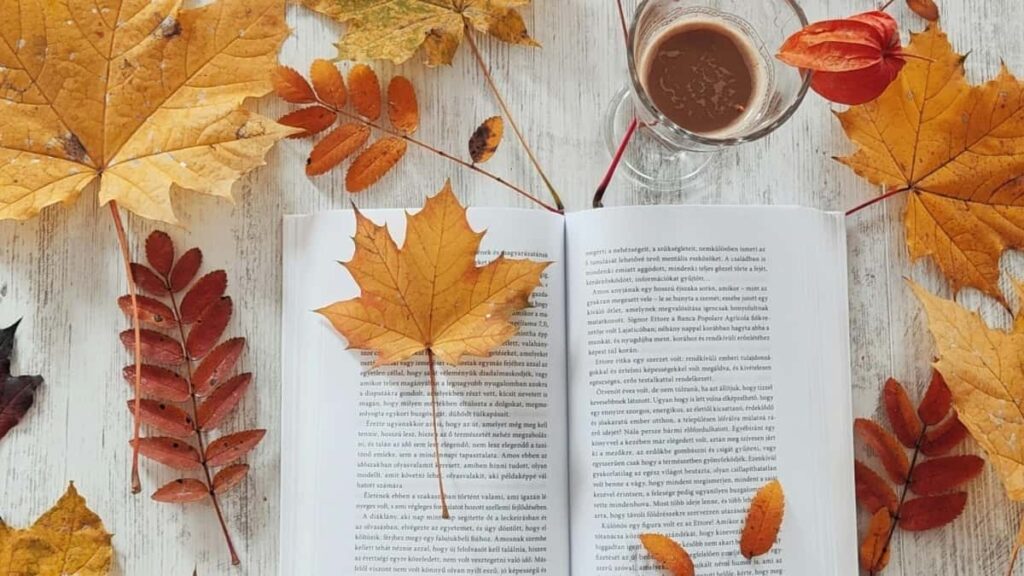 Darussan neman tallafin kaya daga Pinterest da Lithuania ga masu kirkira a Najeriya don bunkasa kasuwanci.