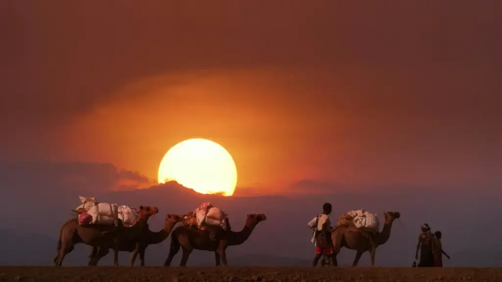 Matasa 'yan Najeriya suna son sanin yadda zasu samu hadin gwiwa da brands na Argentina a HBO Max don tallafi da kudade.