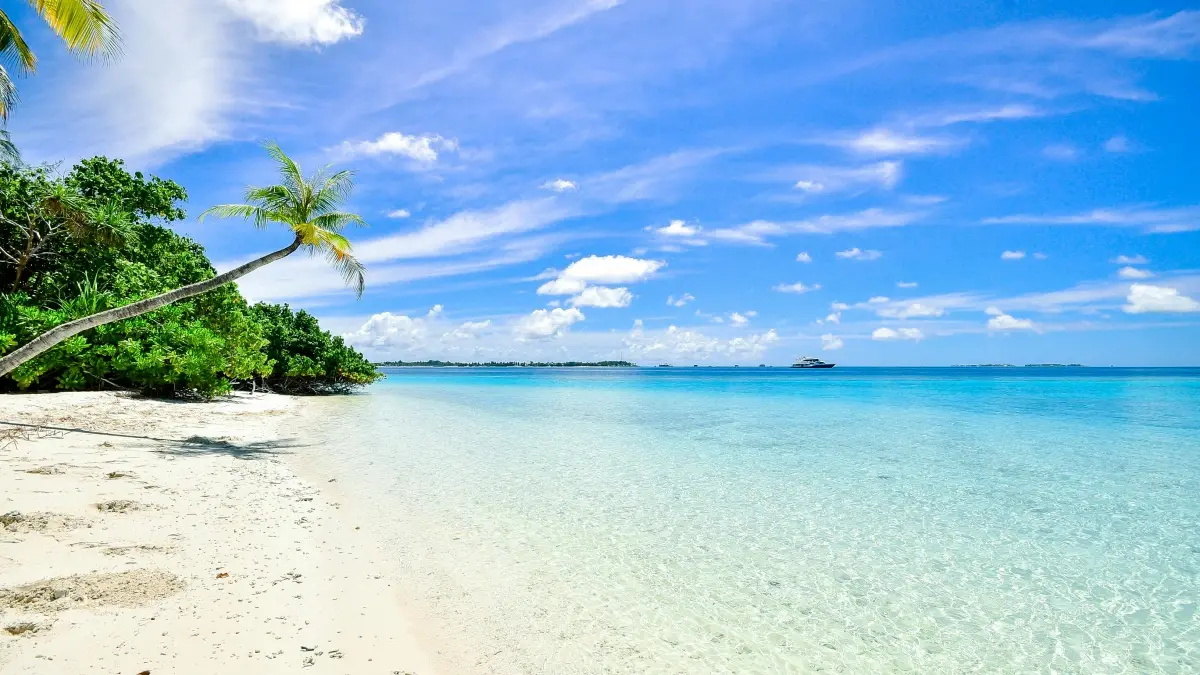 Yadda &lsquo;Yan Kasuwa a Najeriya Ke Amfana da Rumble da Exclusive Discount Code daga Philippines