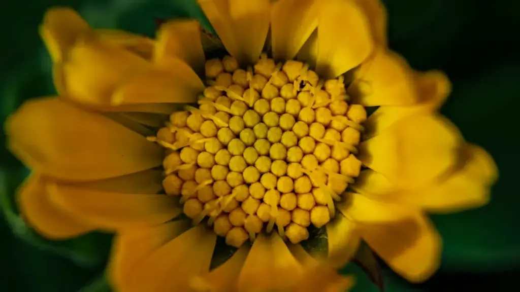 Koyi yadda creators na Najeriya zasu iya isa ga brands na Portugal a Zalo don samun featured a brand campaigns cikin sauki.