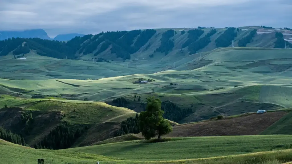 |- Yadda za ka gano masu ƙirƙira daga Azerbaijan a kan Jingdong don fara kamfen na alhaki na jama'a; jagora mai amfani ga masu talla a Najeriya.